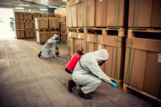 Best Pest Control for Restaurants  in Yorkvle, IL