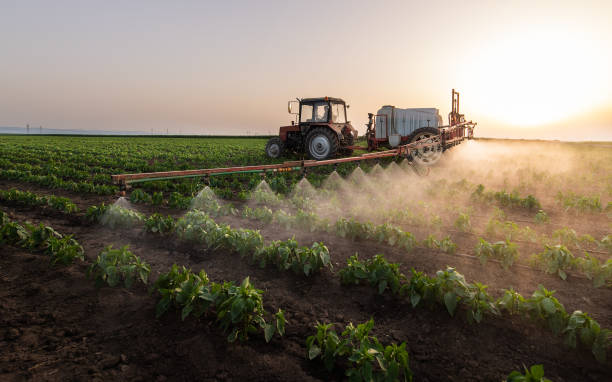 Best Insect Control  in Yorkvle, IL