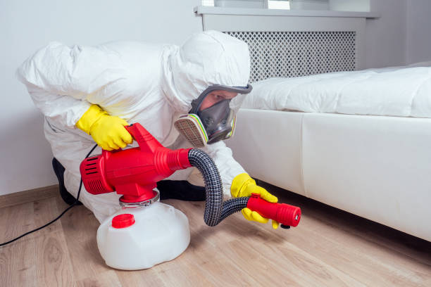 Best Pest Removal Services  in Yorkvle, IL