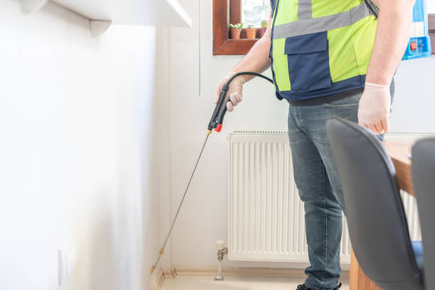 Best Termite Control Services  in Yorkvle, IL