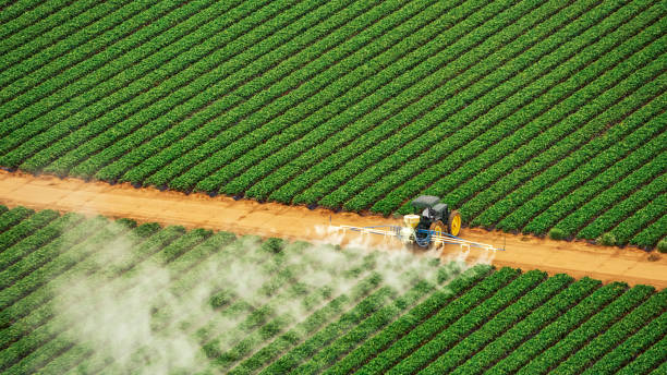 Best Pest Removal Services  in Yorkvle, IL