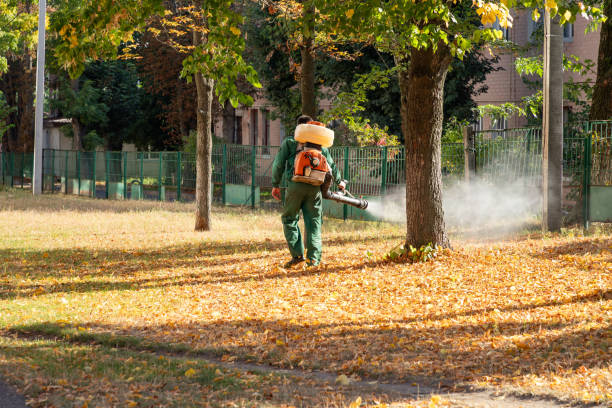 Best Affordable Pest Control Services  in Yorkvle, IL