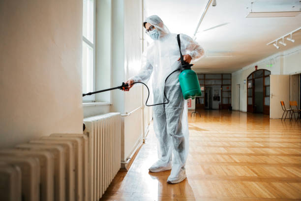 Best Pest Control for Homes  in Yorkvle, IL